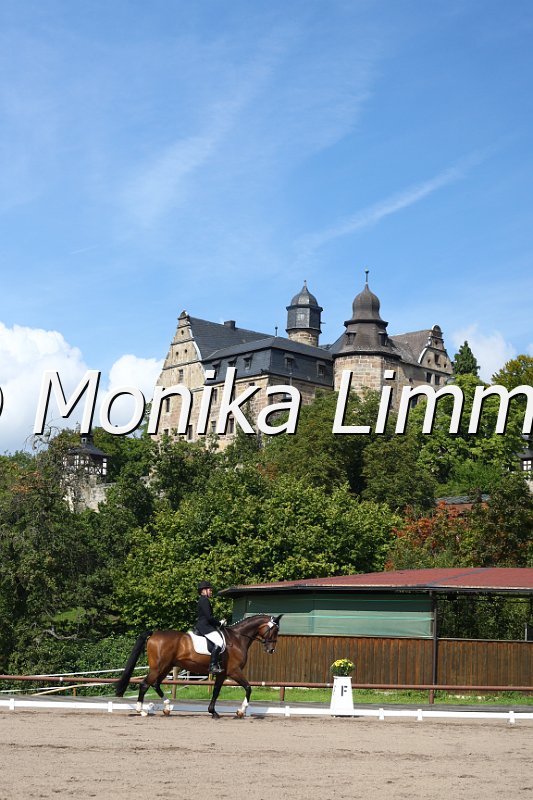 009M2570_Rubin_Dressur E.JPG